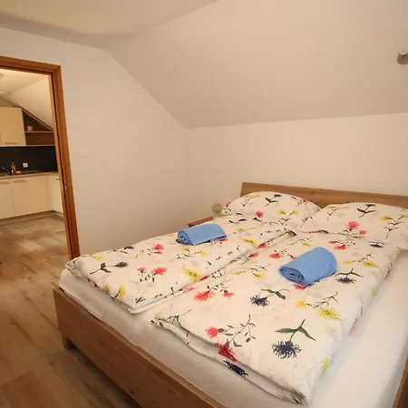 Apartment Leska Zgornji Leskovec